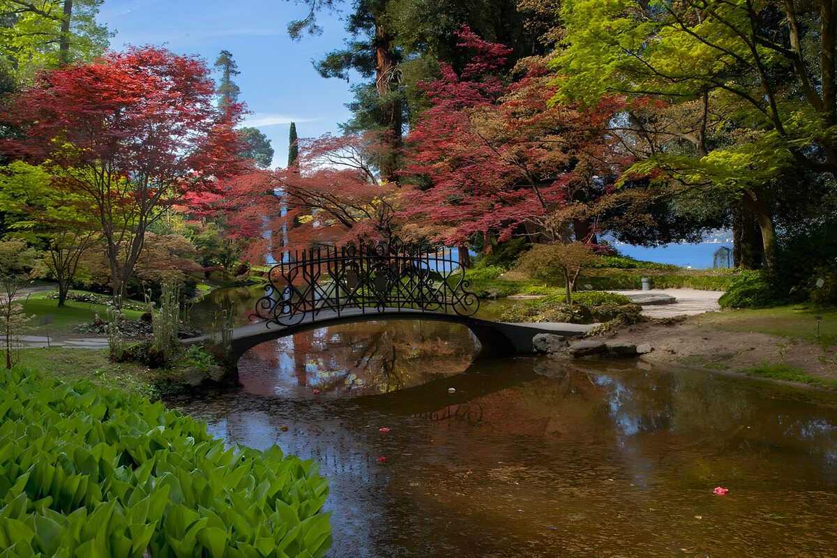 Tranquil Garden Bridge Reflection