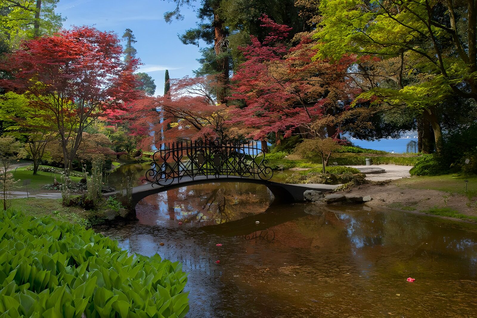 OCCOM9849820: Tranquil Garden Bridge Reflection