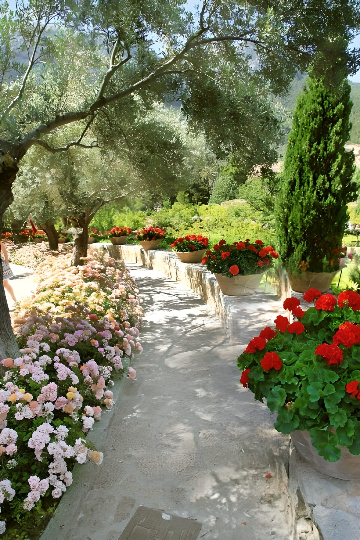 OCCOM9094346: Tranquil Garden Pathway