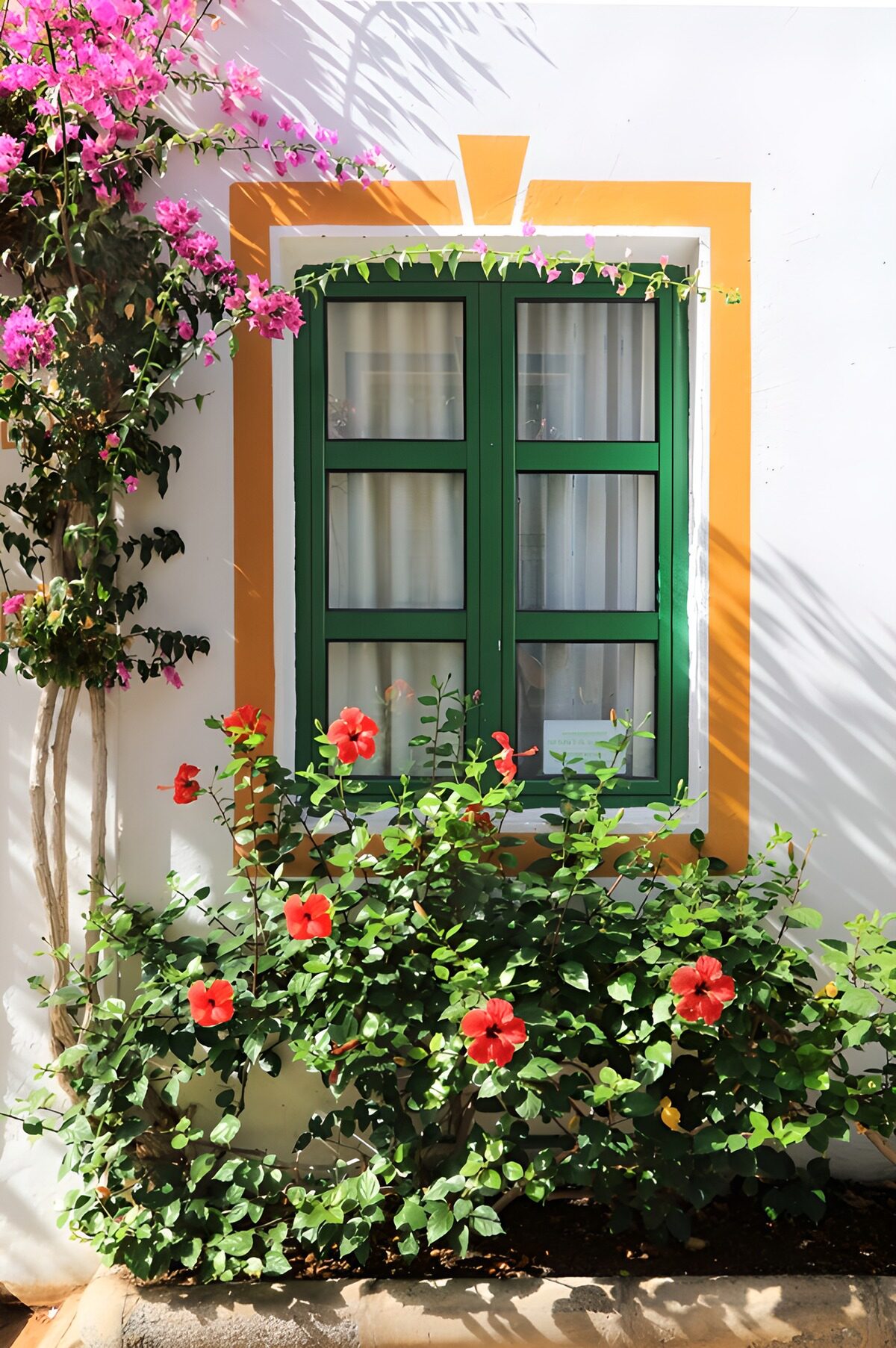 Vibrant Garden Window with Flowers