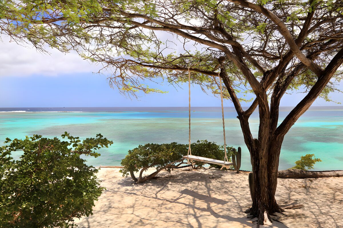 Tranquil Beachside Swing