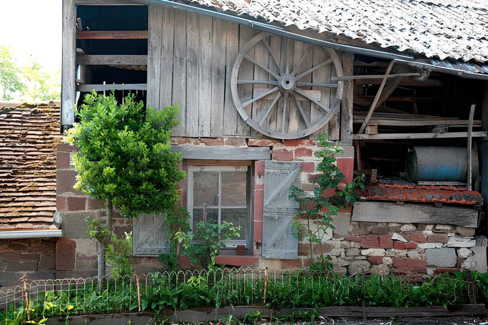 OCCOM6219556: Rustic Charm of an Abandoned Barn