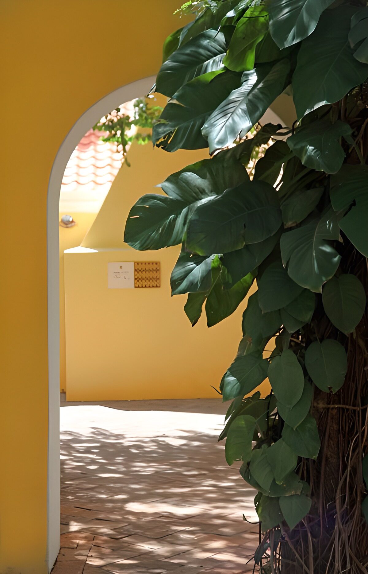 OCCOM8761910: Serene Archway Embraced by Greenery