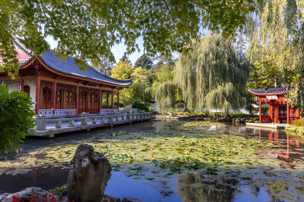 OCCOM6445800: Tranquil Asian Garden Retreat