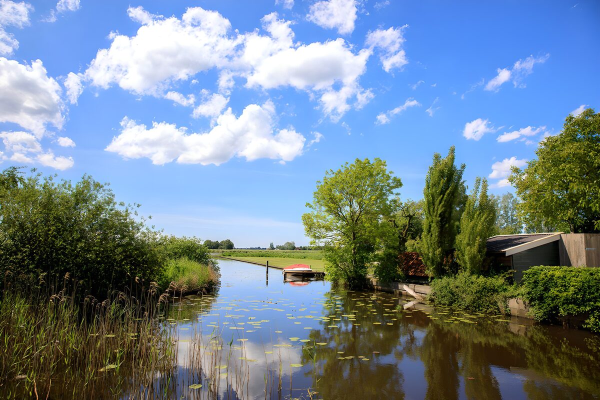 OCCOM9003556: Serene Waterscape in Nature