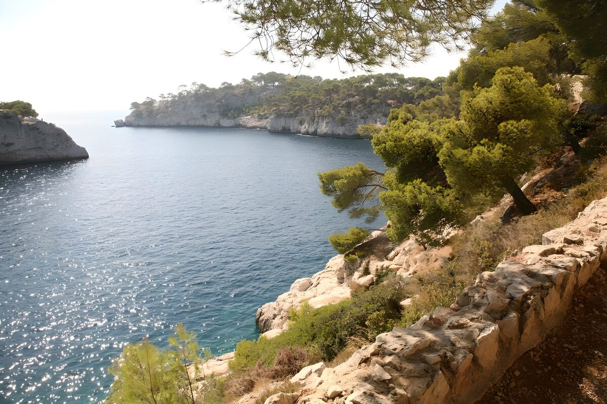 Serene Coastal View in Nature