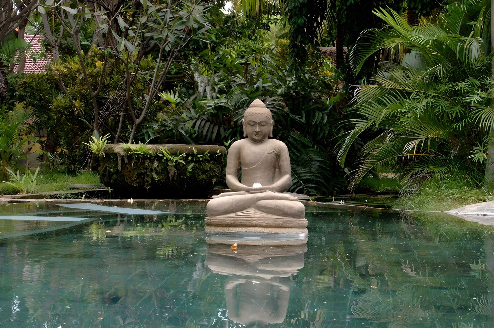 OCCOM6161621: Serene Buddha in Tranquil Garden
