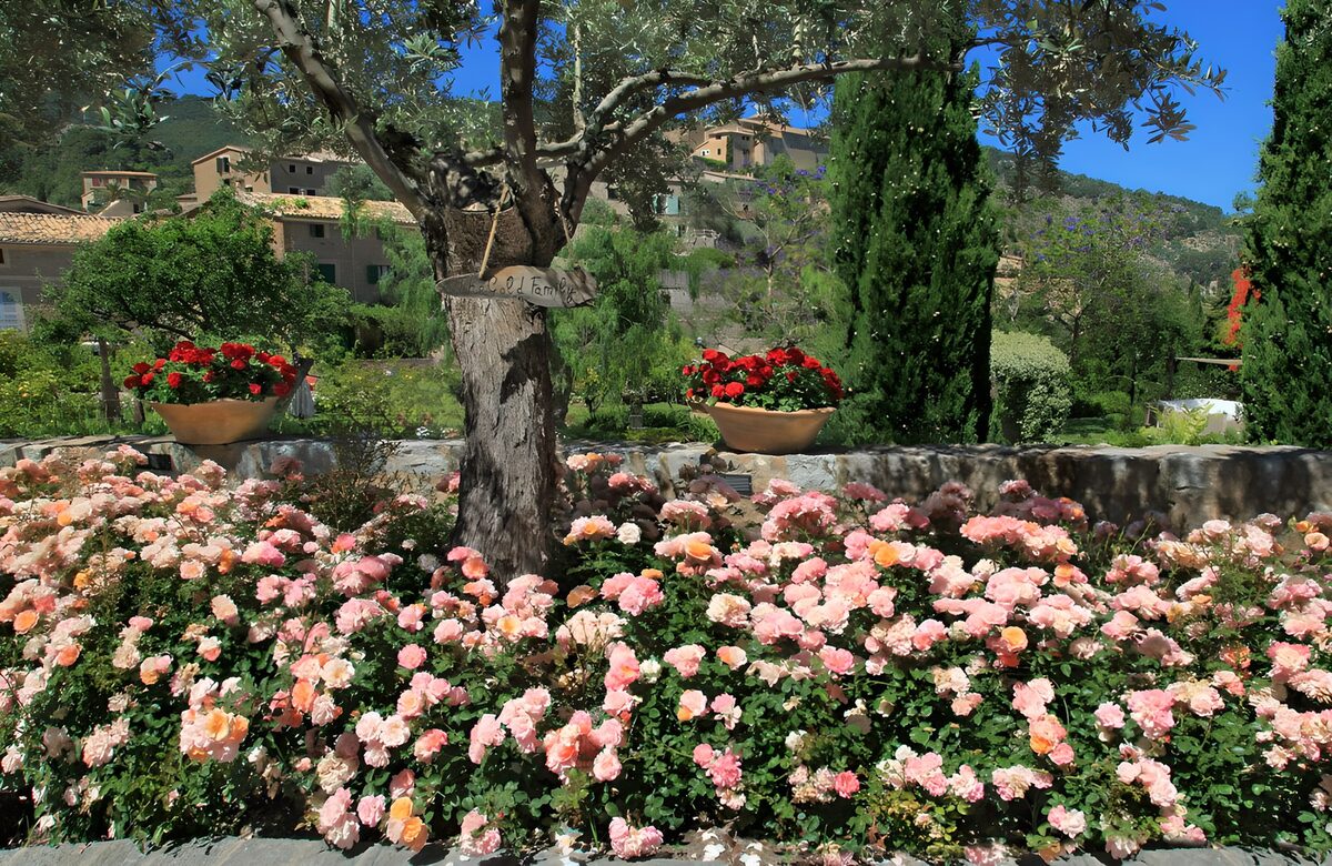Serene Garden Blooms