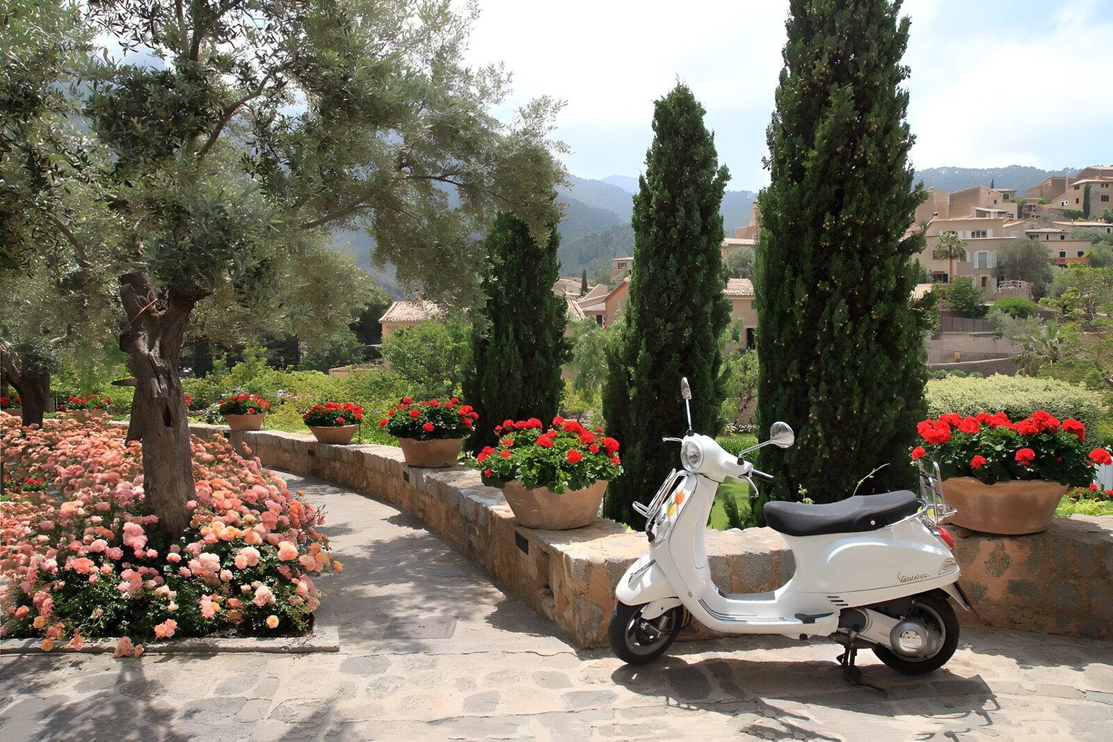 OCCOM2385823: Charming Scooter in Blooming Garden