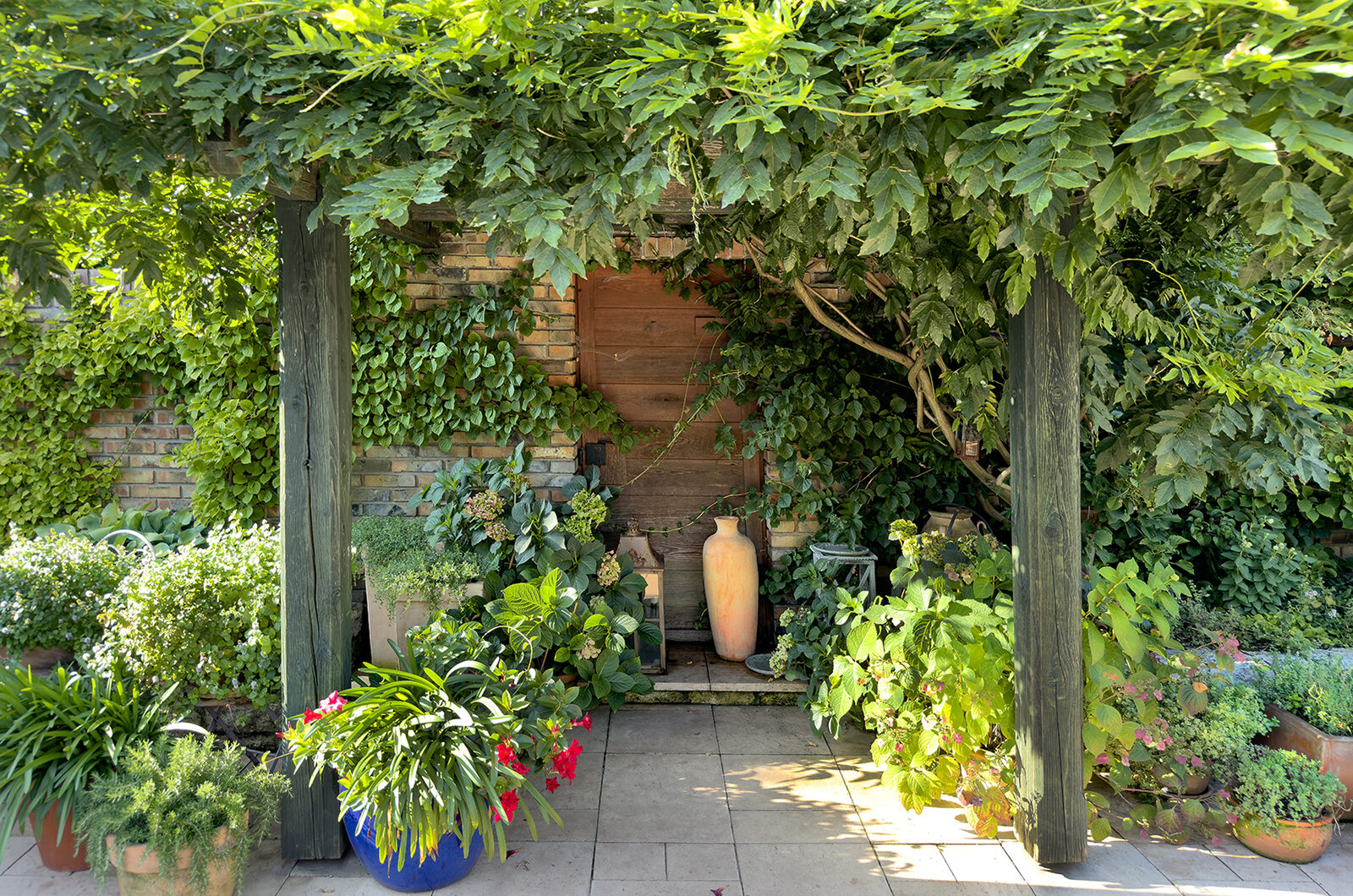 OCCOM5420981: Lush Garden Pergola Entrance