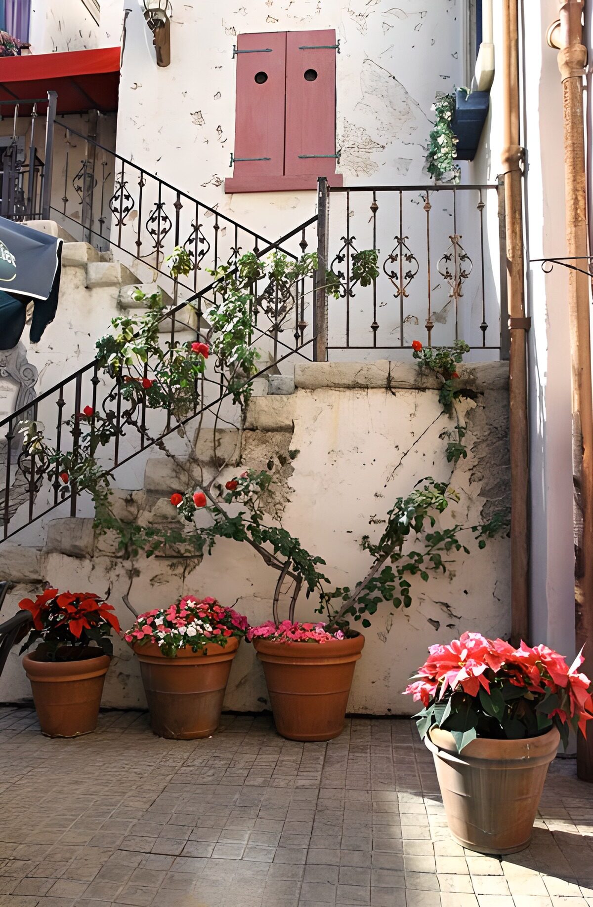 Charming Staircase with Flower Pots