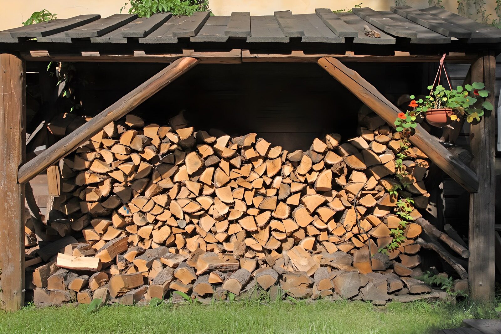 OCCOM2150144: Neatly Stacked Firewood Under Shelter