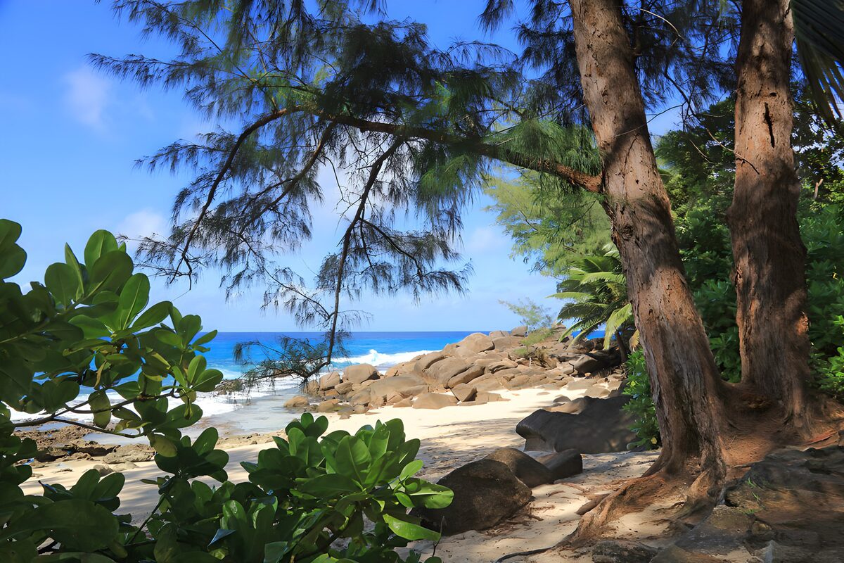 OCCOM6724256: Serene Coastal Landscape