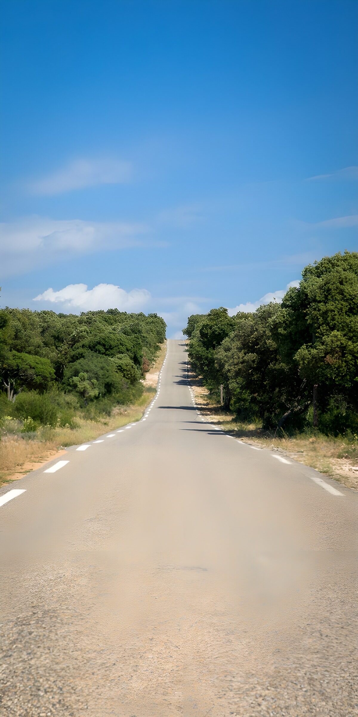 OCCOM2779324: Endless Road Leading to the Horizon