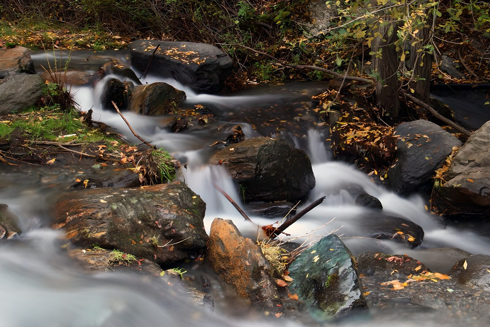 OCCOM3302433: Serene Stream in Autumn Colors