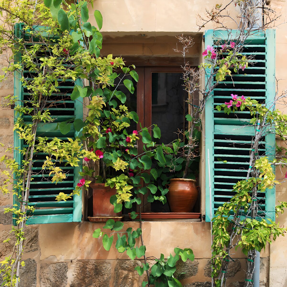 Lush Garden Window with Shutters