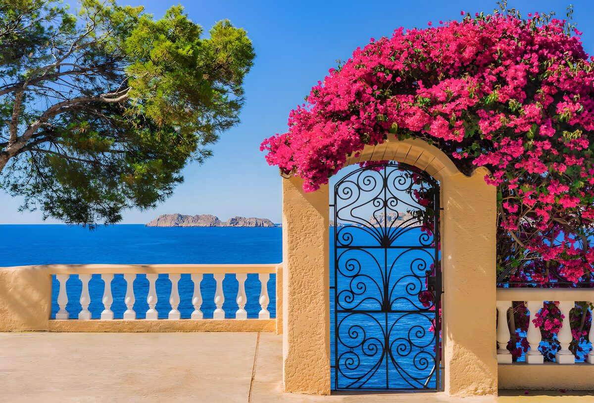 Coastal Gate Framed by Bougainvillea
