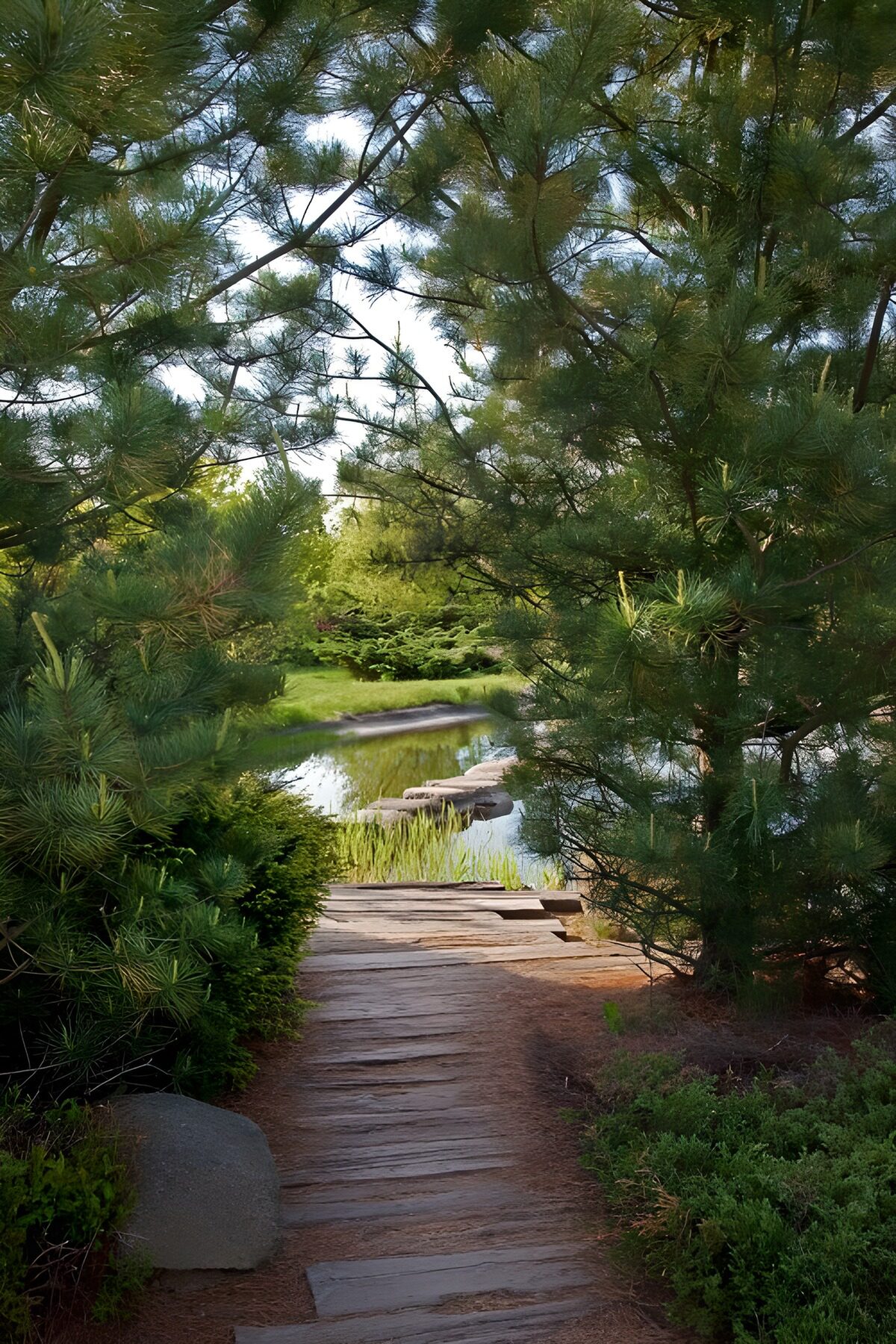 OCCOM6566890: Tranquil Path to Serenity