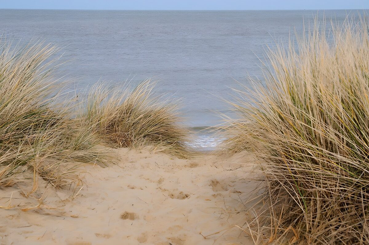 Coastal Serenity Beneath the Dunes