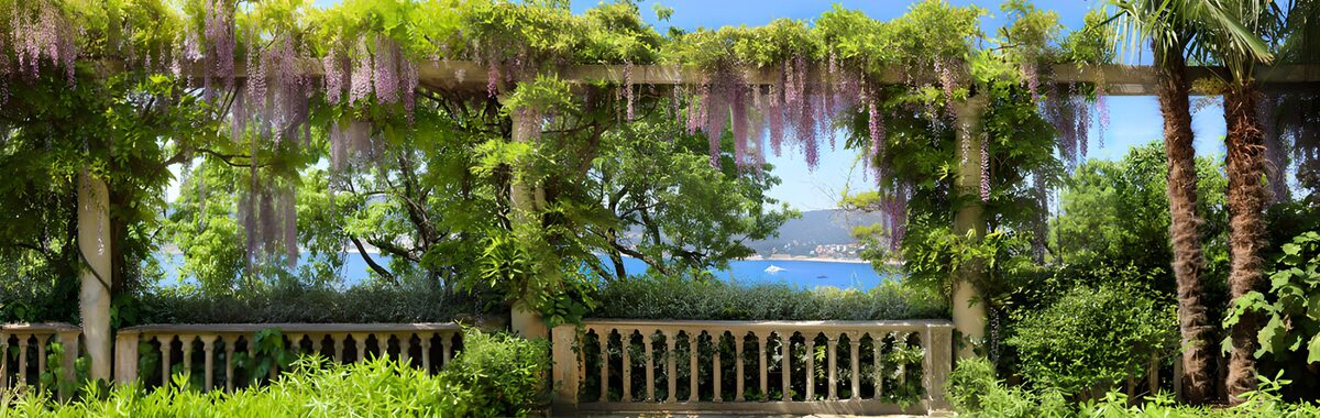 OCCOM7265271: Serene Garden View with Wisteria