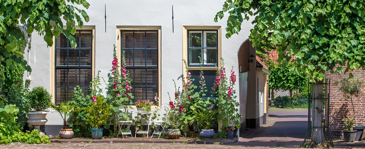 OCCOM3956246: Charming Floral Facade in a Quaint Locale