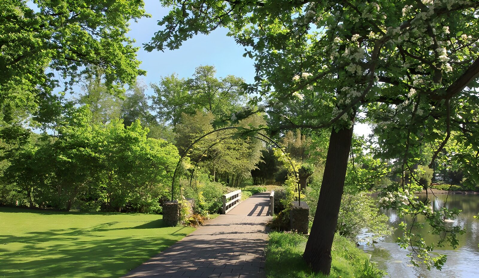OCCOM4455116: Tranquil Path by the Water