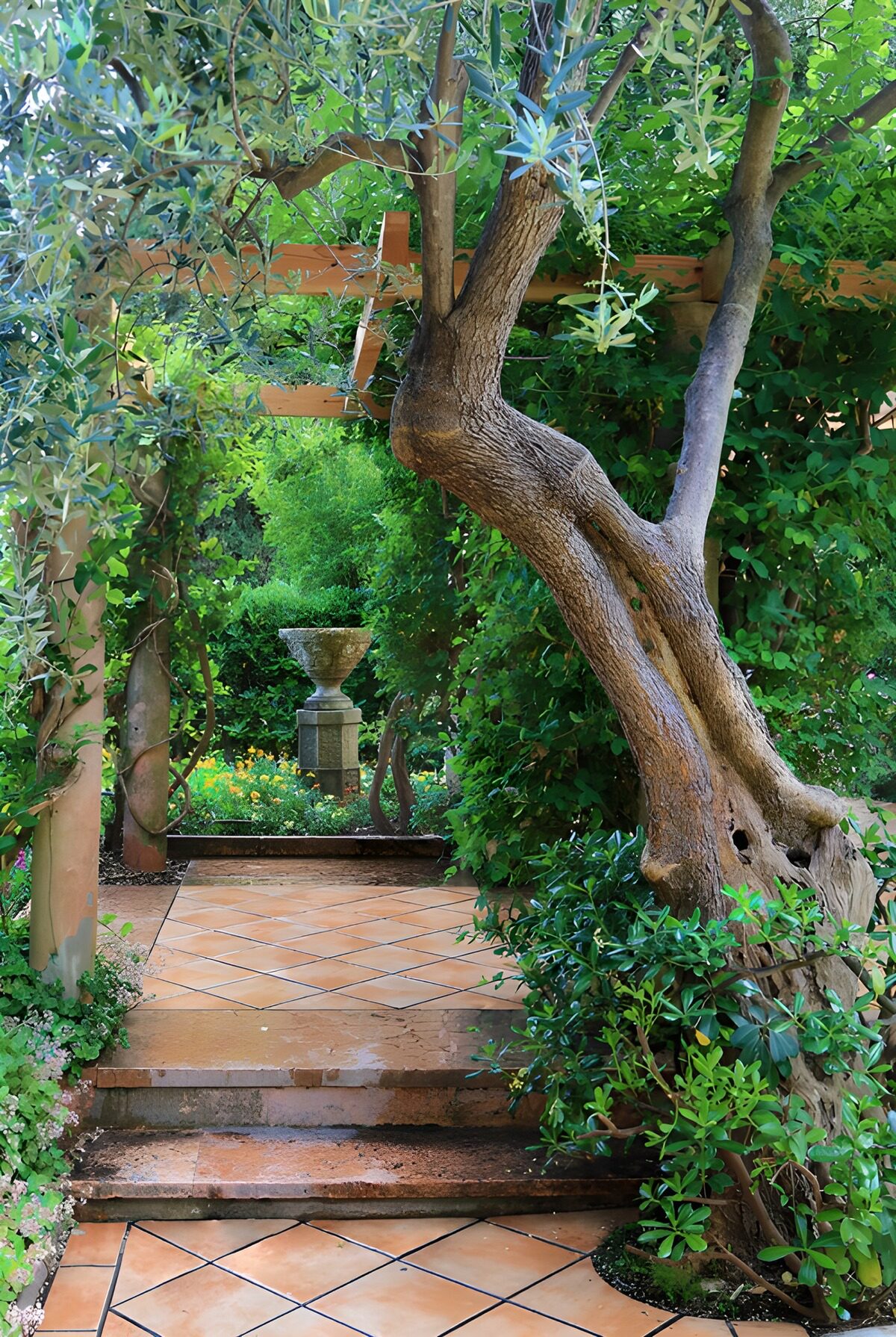 OCCOM8545569: Serene Garden Pathway