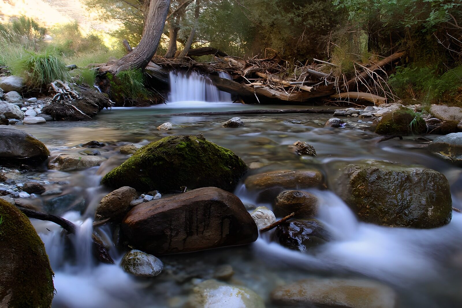OCCOM4491362: Tranquil Stream with Lush Surroundings