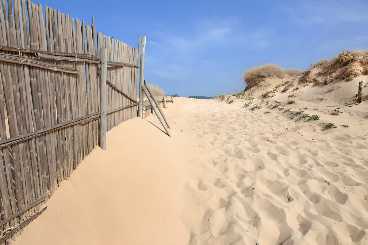 OCCOM6129668: Serene Dunes and Bamboo Fence