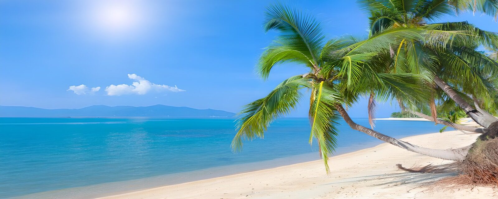 OCCOM5437538: Tropical Paradise on a Sunny Beach