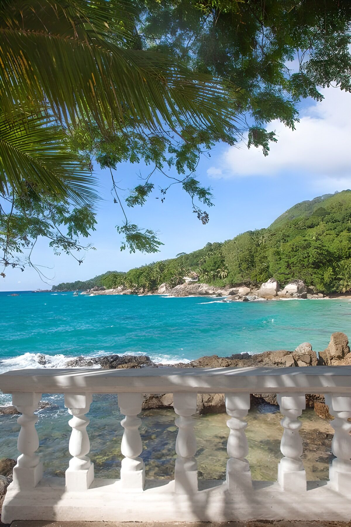 OCCOM8544213: Serene Coastal View with Lush Greenery