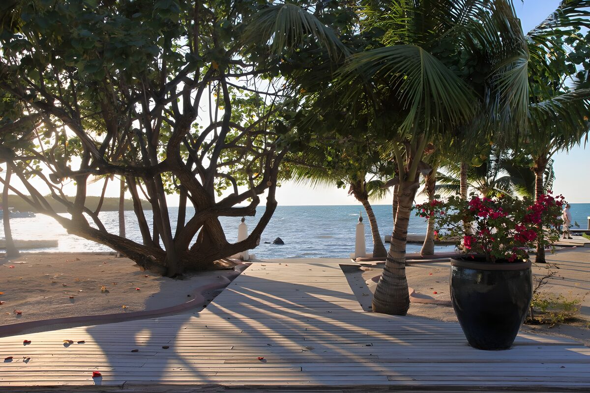 OCCOM1107666: Serene Beachside Pathway at Sunset