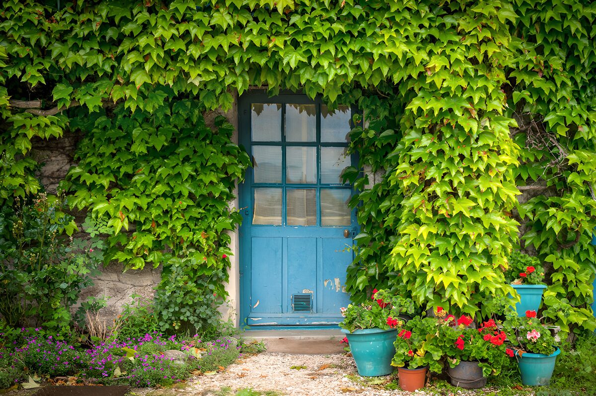 Charming Blue Door Surrounded by Greenery