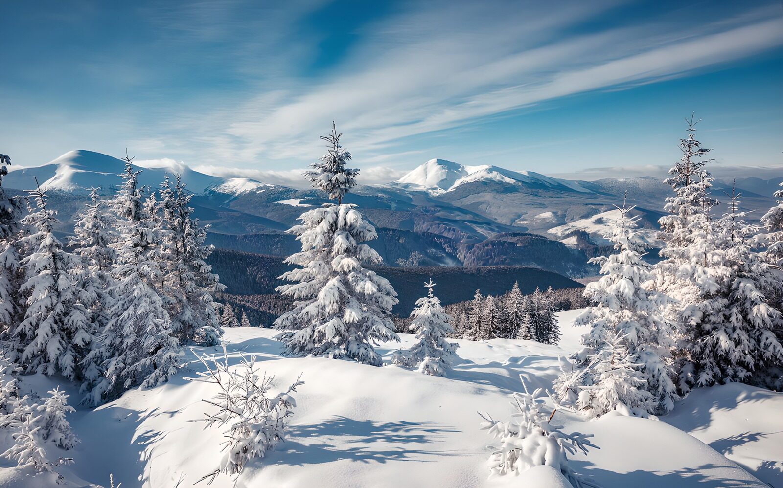 OCCOM9426559: Winter Wonderland Peaks