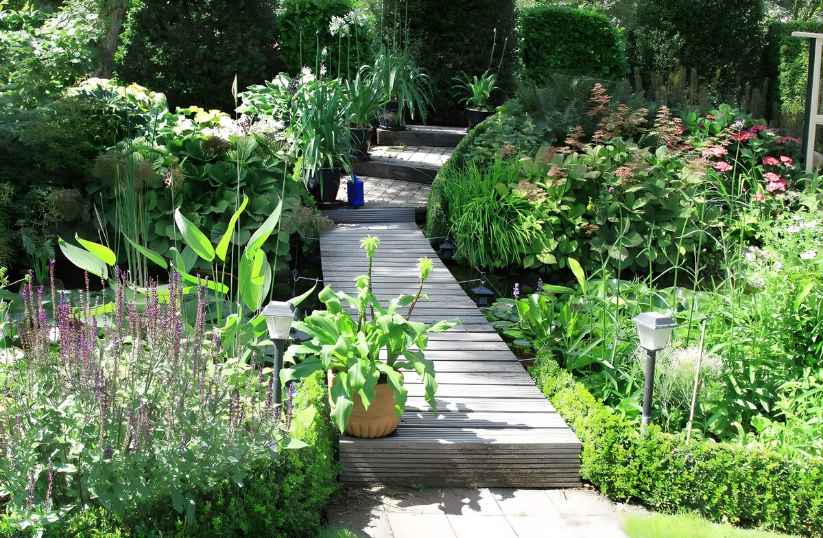 OCCOM8949866: Serene Garden Pathway