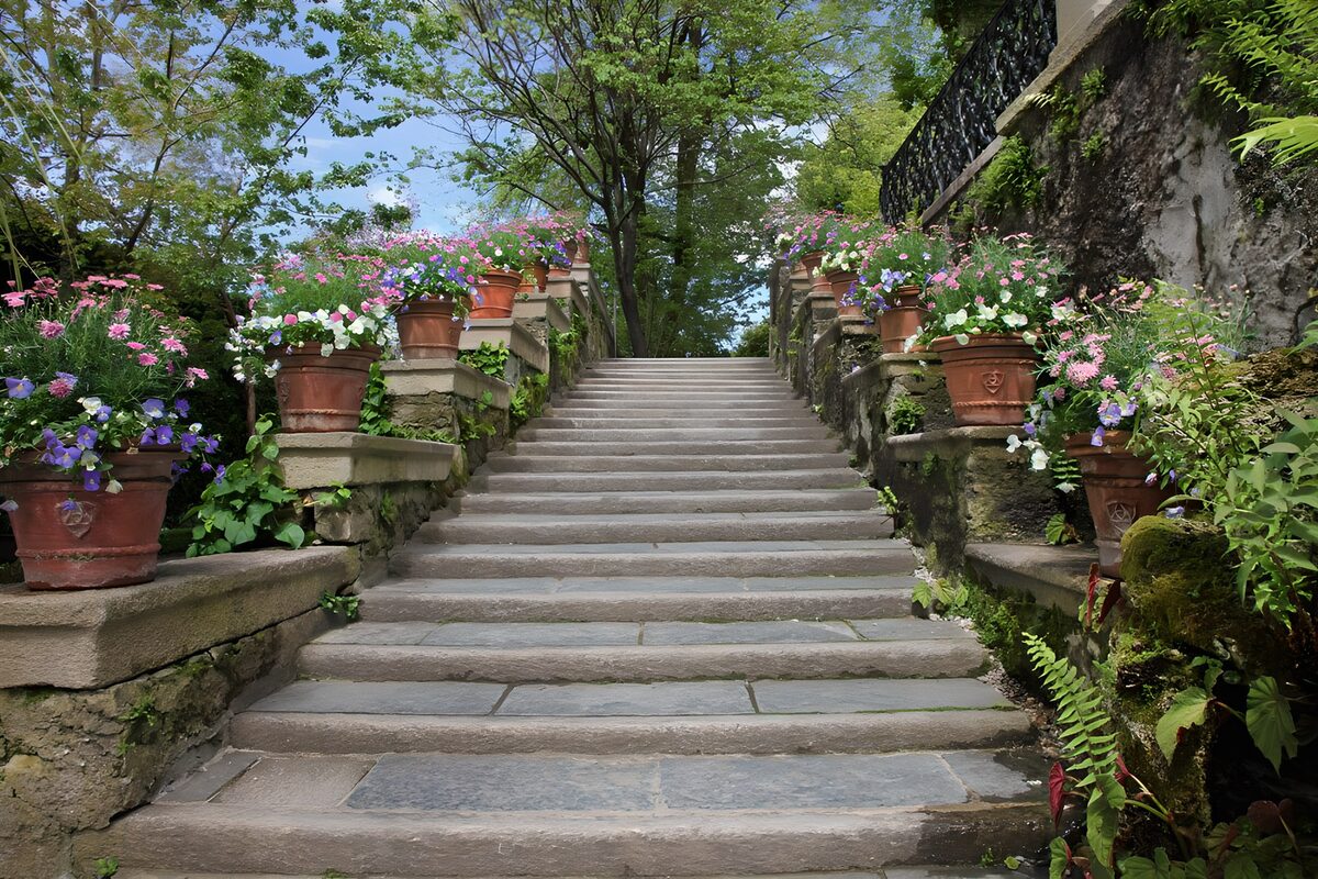 OCCOM2783497: Blooming Steps to Serenity