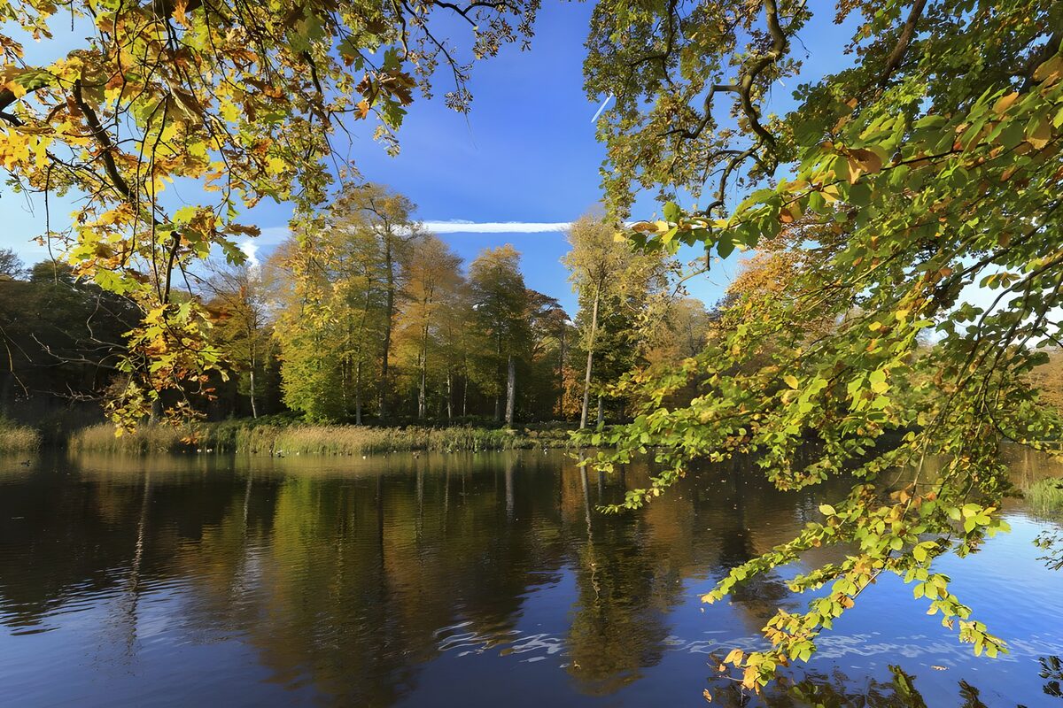 Autumn Reflections in Tranquil Waters