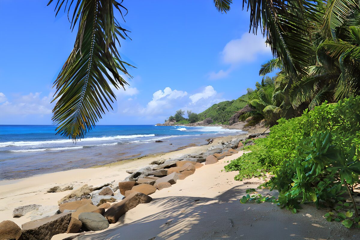 OCCOM6331136: Serene Tropical Beachscape