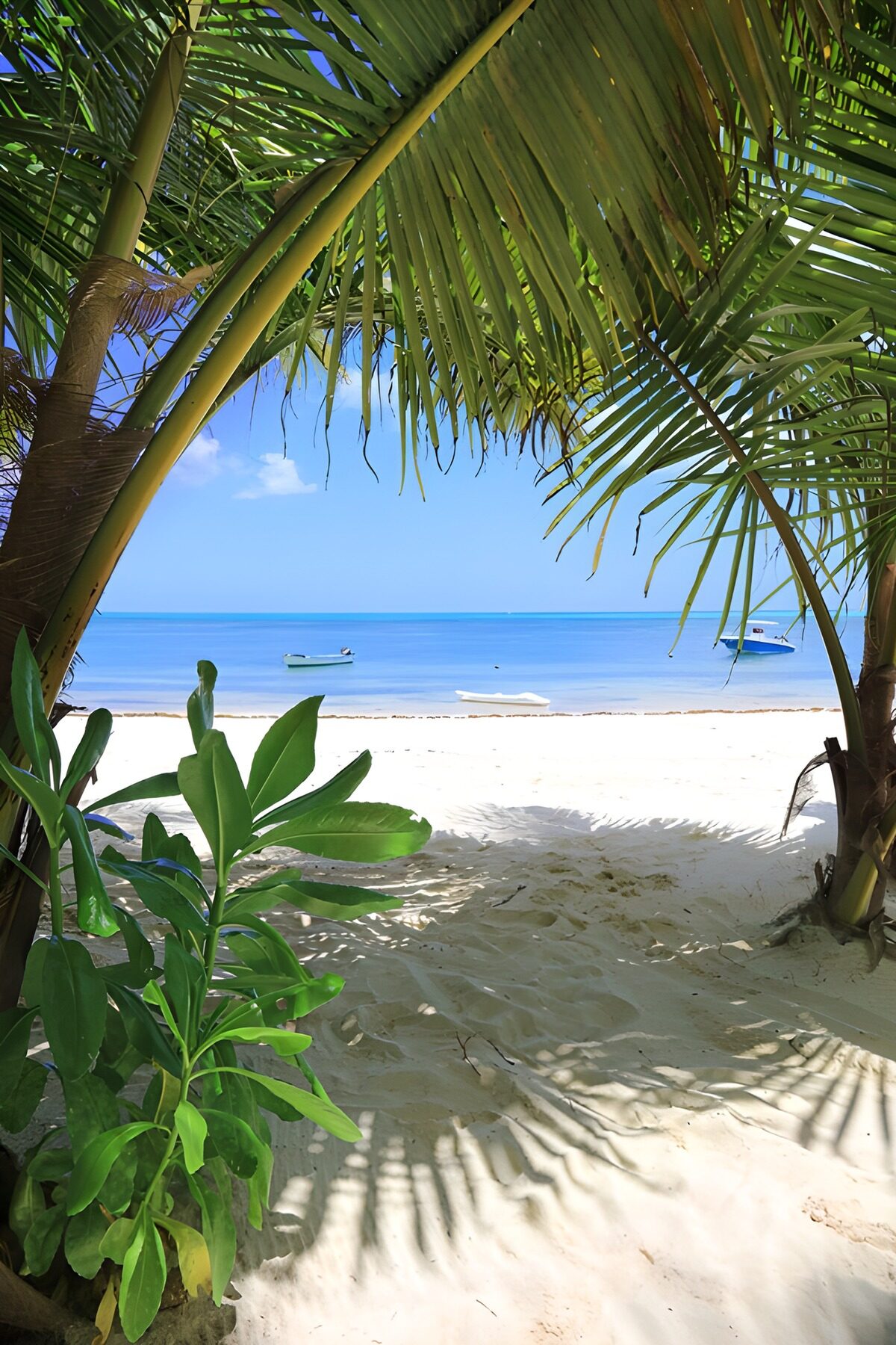 Tropical Beach Escape