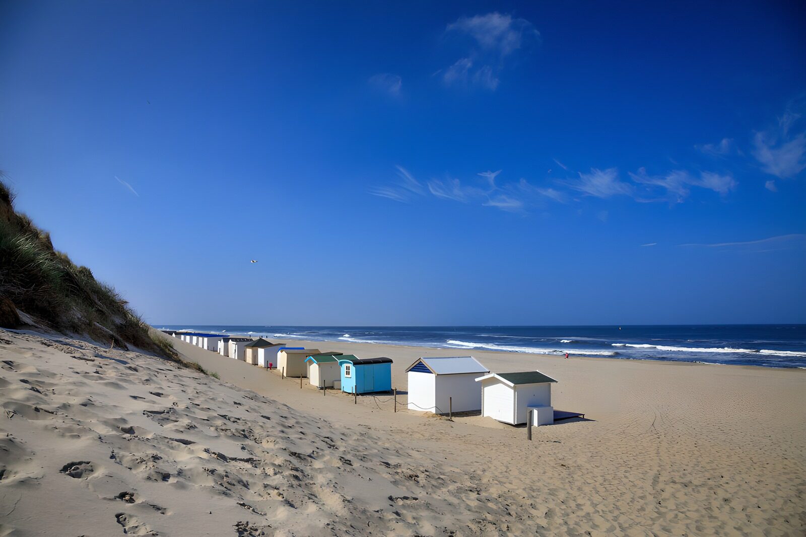 OCCOM6841754: Tranquil Beachside Retreat