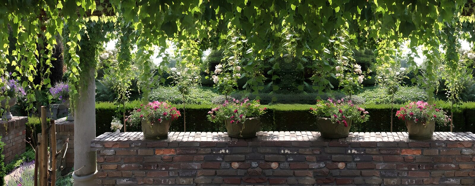 OCCOM2242810: Serene Garden Oasis with Colorful Blooms