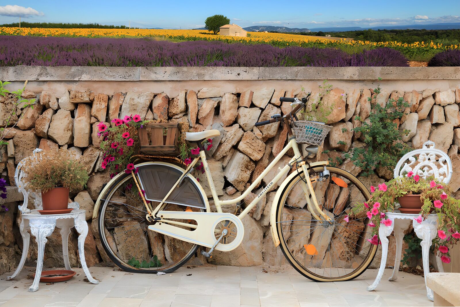 OCCOM1311871: Vintage Bicycle Surrounded by Flowers