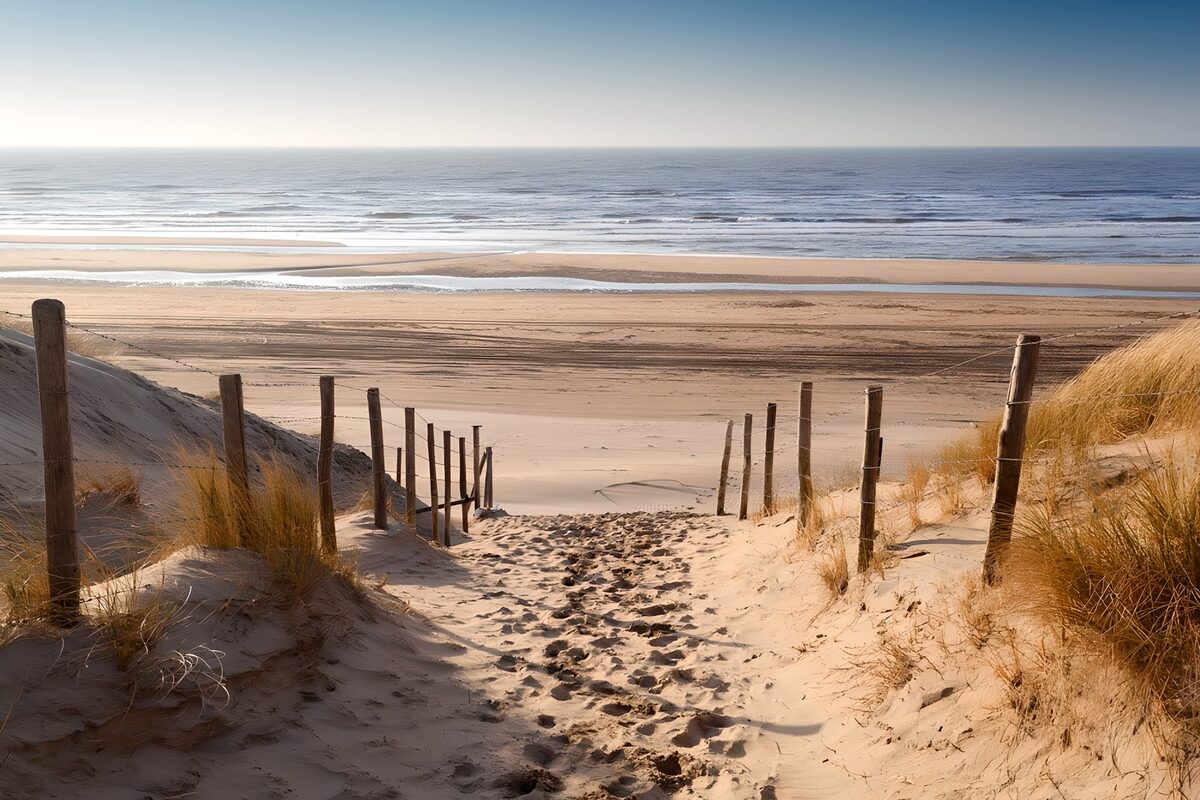 OCCOM2648216: Pathway to Serenity: Dunes and Sea