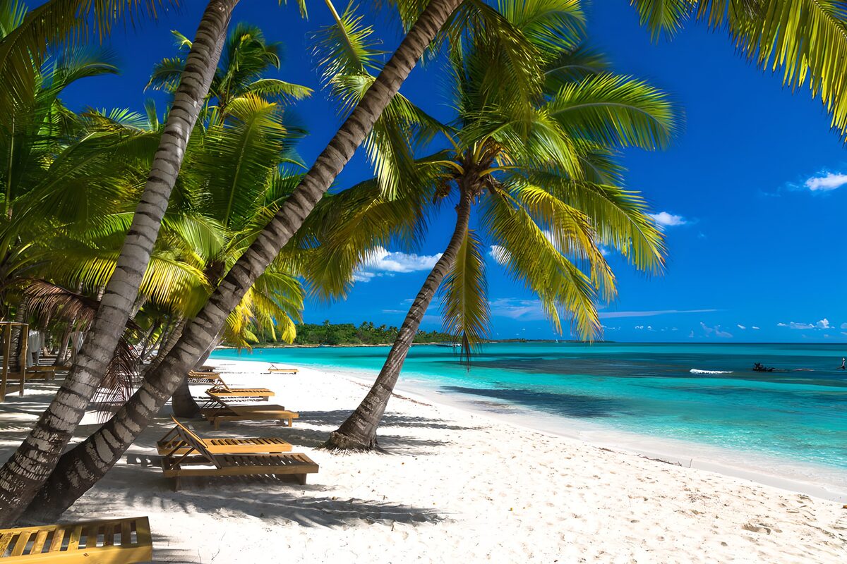 OCCOM4447309: Tropical Beach Paradise