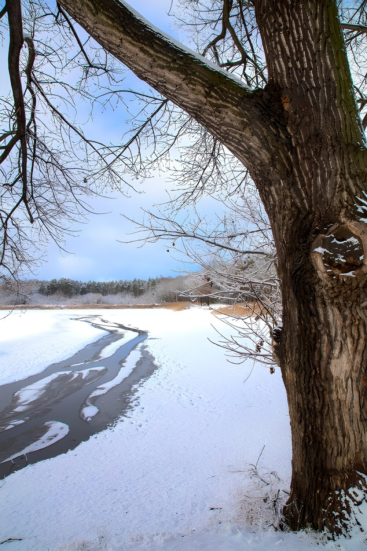 Winter River Landscape