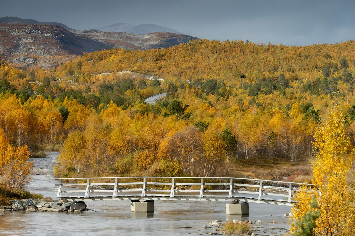 Autumn Serenity in the Mountains