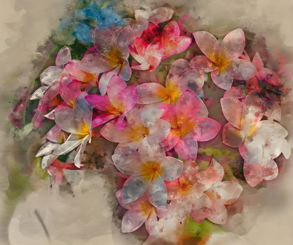 Vibrant Floral Harmony