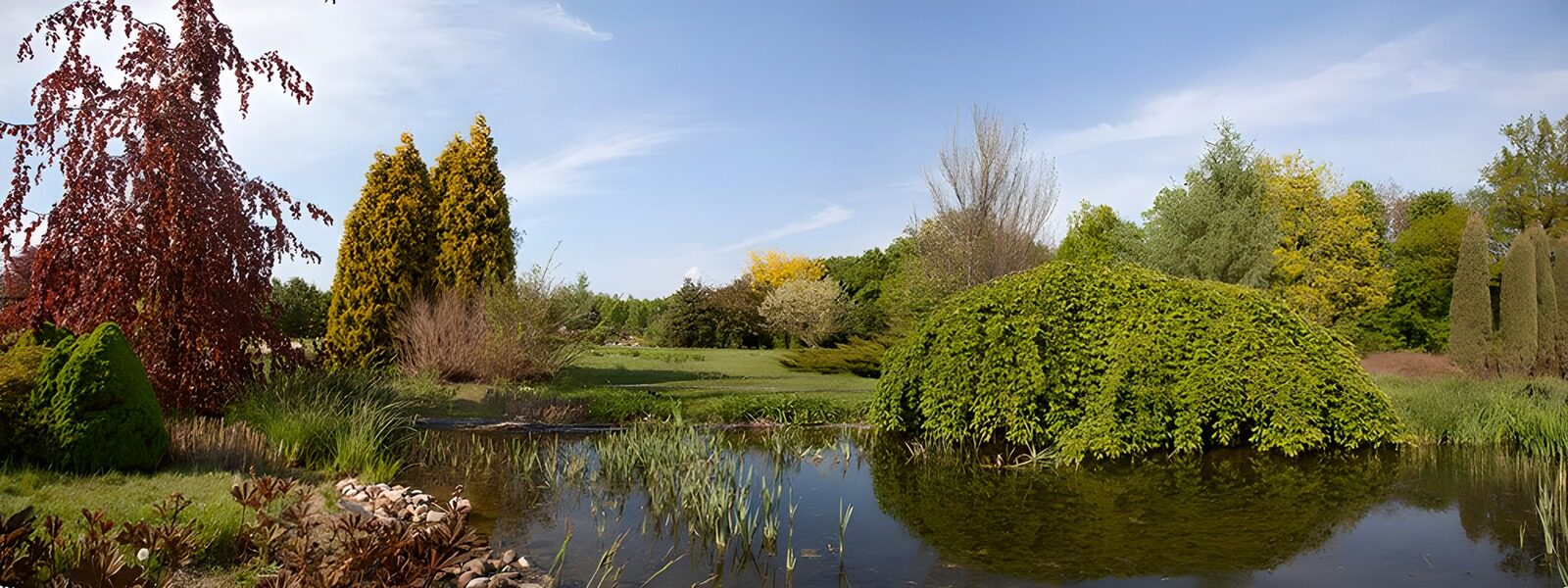 OCCOM4049706: Tranquil Garden Reflection