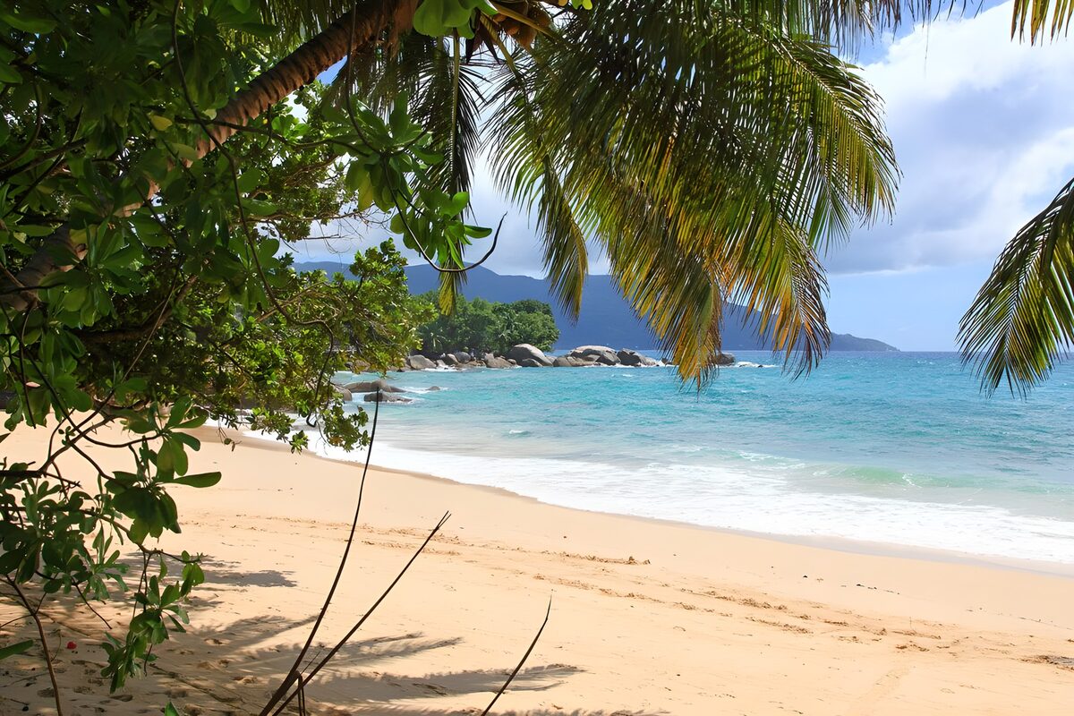 OCCOM1436109: Serene Tropical Beachscape