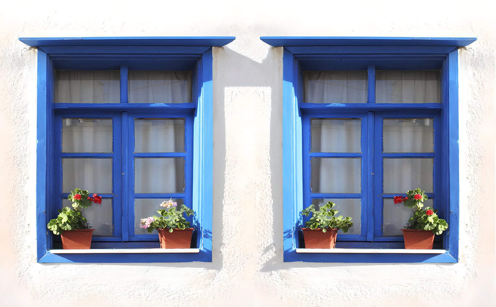 OCCOM1200796: Charming Blue Windows with Flower Pots